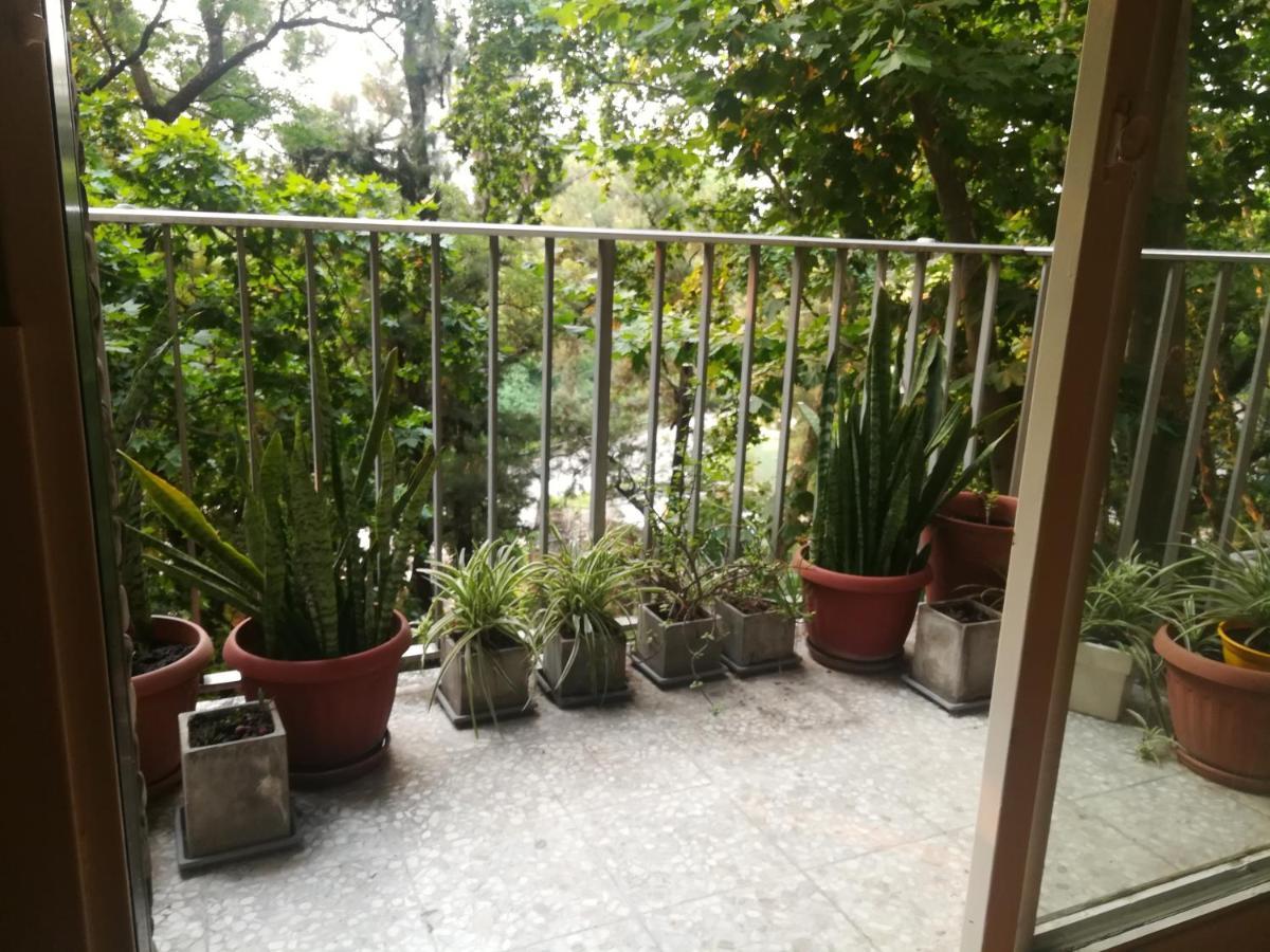 Apartamento palermo frente al Zoo Ciudad Autónoma de Ciudad Autónoma de Buenos Aires Exterior foto